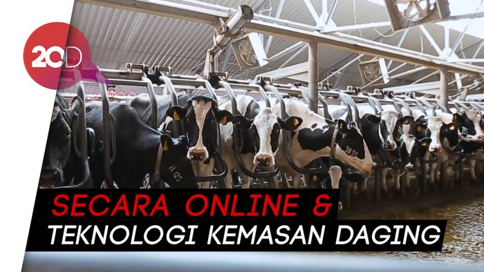 Tips Pilih Hewan Kurban di Fase New Normal