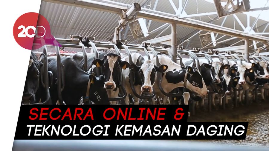 Tips Pilih Hewan Kurban di Fase New Normal
