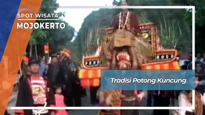 Tradisi Potong Kuncung Mojokerto