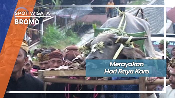 Perayaan Hari Raya Karo Suku Tengger Desa Wonokitri Bromo