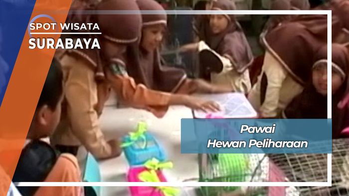 Pawai Hewan Peliharaan, Surabaya