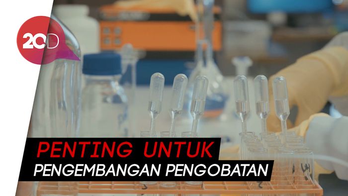 Eijkman Kirim 10 Sampel Virus Corona dari Indonesia