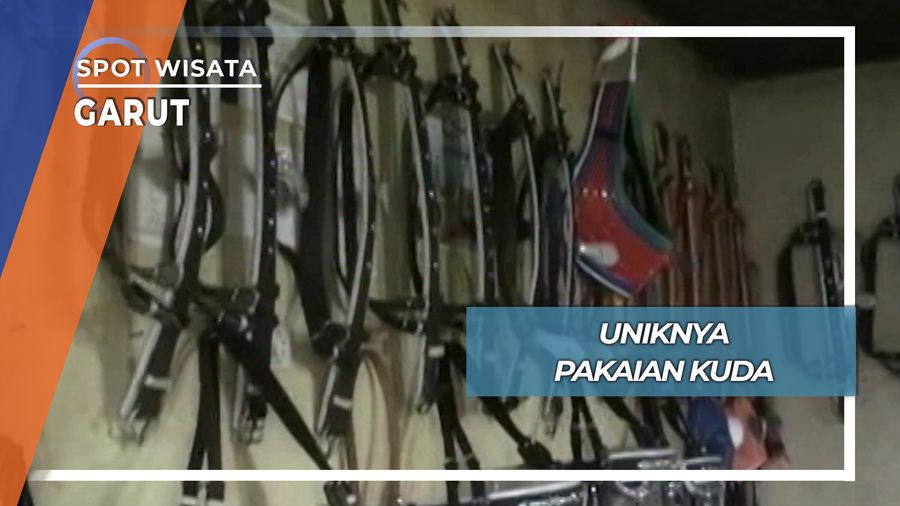 Uniknya Pakaian Kuda, Garut