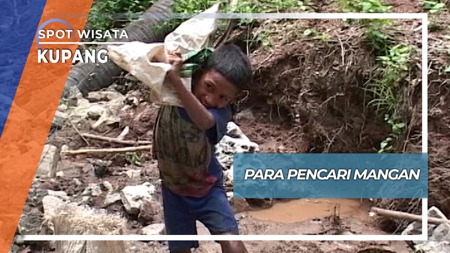 Suka Duka Penambang Cilik Batu Mangan Desa Naioni Kupang