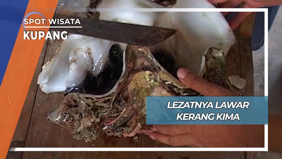 Lawar Kima, Lezat Nikmat si Kerang Besar Kupang