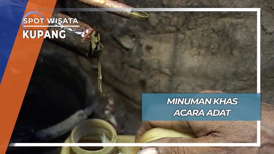 Sopi, Minuman Tuak Aren Khas Acara Adat Kupang