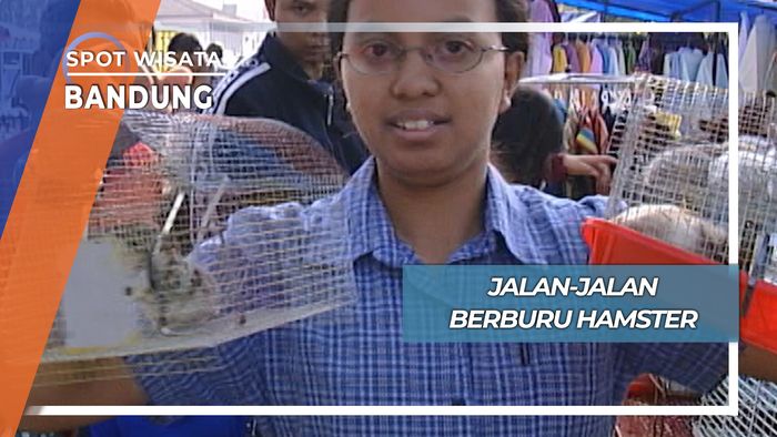 Jalan-jalan Berburu Hamster, Bandung