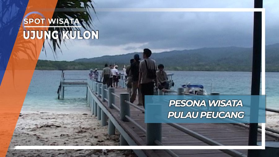 Pesona Wisata Pulau Peucang, Ujung Kulon
