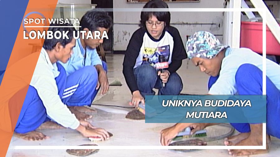 Budidaya Mutiara, Lombok