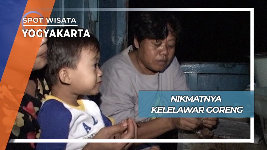 Kelalawar Goreng, Yogyakarta