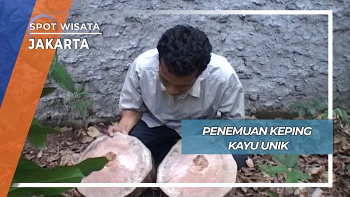 Penemuan Keping Kayu Unik, Jakarta