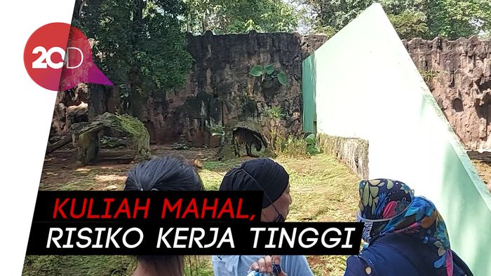 Gaji Dokter Hewan Cuma Rp 6 Juta per Bulan, DPRD DKI Prihatin