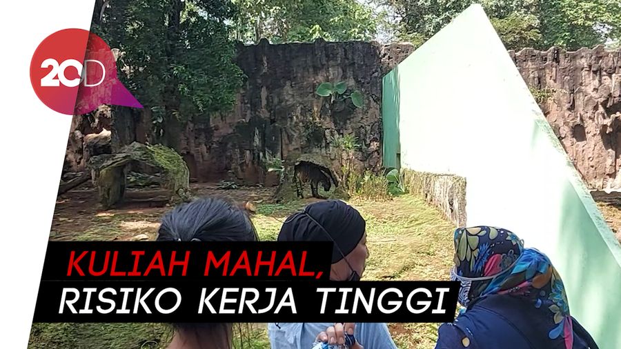 Gaji Dokter Hewan Cuma Rp 6 Juta per Bulan, DPRD DKI Prihatin