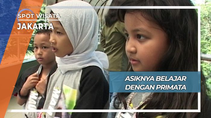 Serunya Bermain dengan Primata, Jakarta