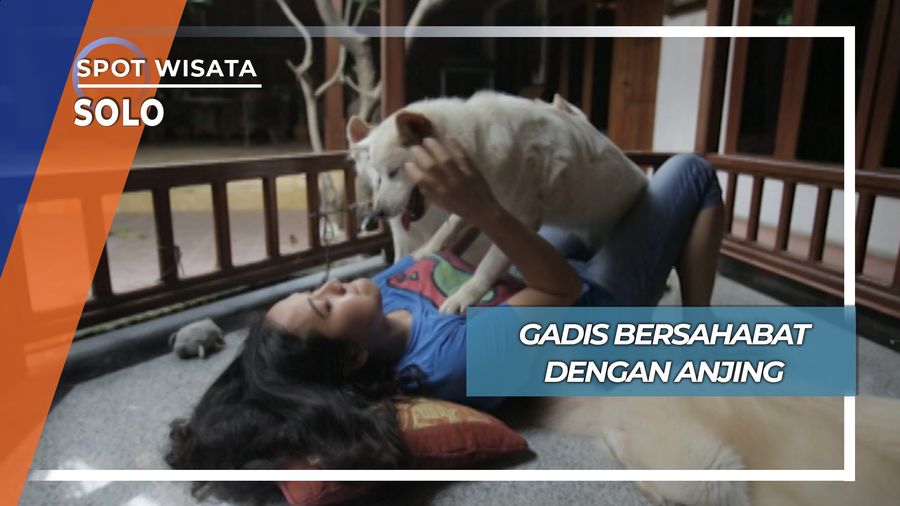 Gadis Bersahabat dengan Anjing, Solo