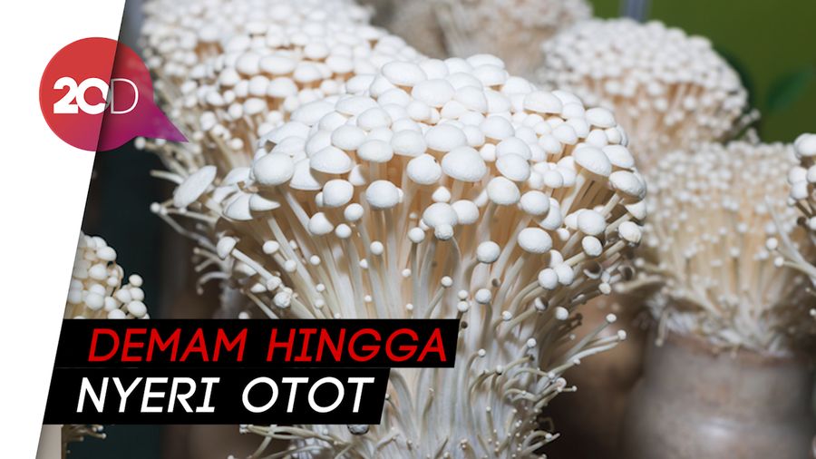 Waspada! Ini Gejala Infeksi Bakteri Listeria Jamur Enoki