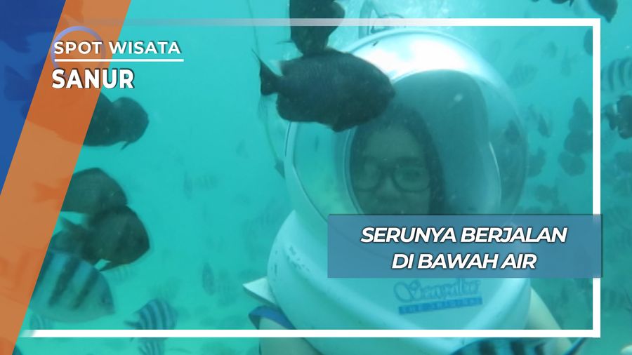Serunya Berjalan di Bawah Air, Sanur