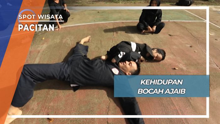 Kehidupan Bocah Ajaib, Pacitan