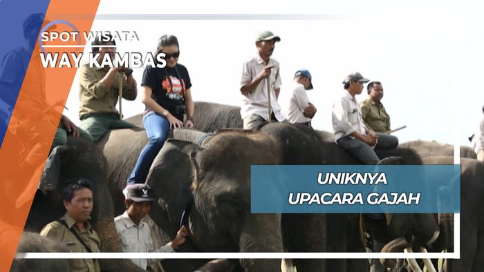Upacara Gajah, Way Kambas