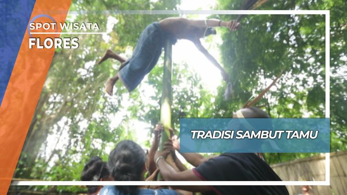 Tradisi Sambut Tamu, Flores