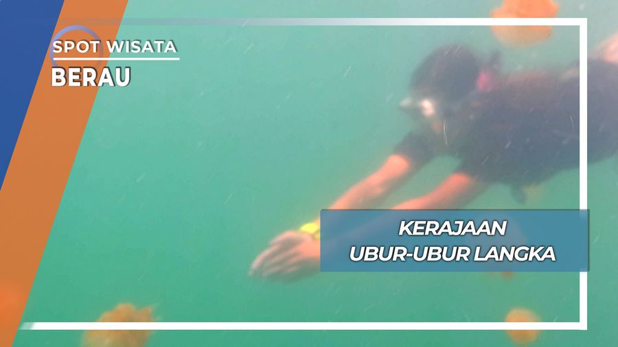 Kerajaan Ubur-ubur Langka, Berau