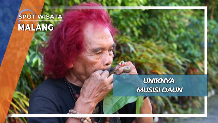 Uniknya Musisi Daun, Malang