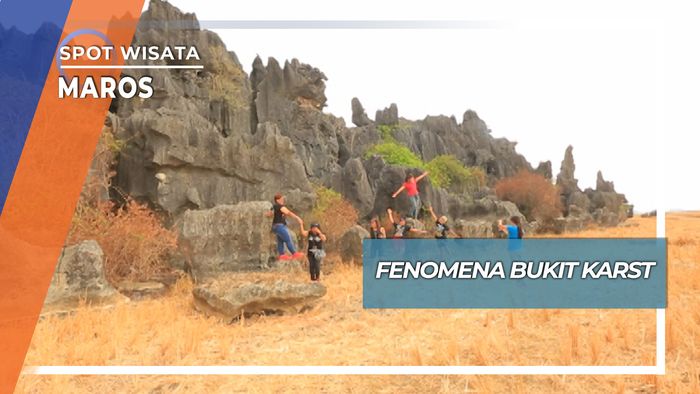 Bukit Karst, Fenomena Hutan Batu Maros
