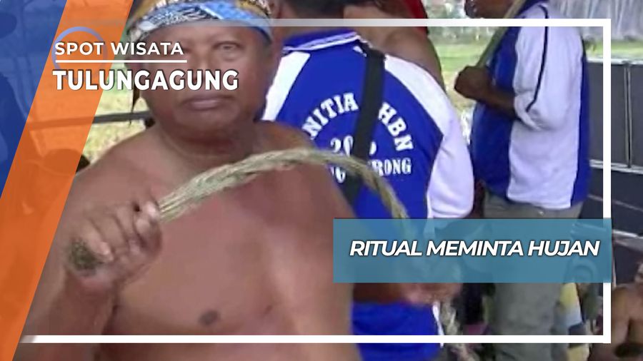 Tradisi Adu Cambuk Minta Hujan Desa Ngentrong Campurdarat Tulungagung