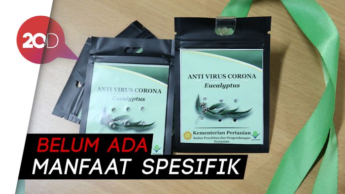 Ampuhkah Kalung Antivirus Eucalyptus untuk Tangkal COVID-19?
