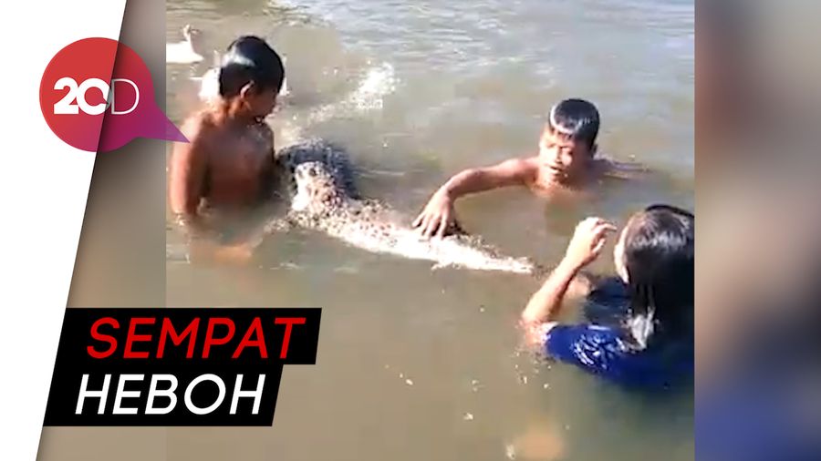 Kata Panji Petualang Soal Video Viral Anak-anak Renang dengan Buaya