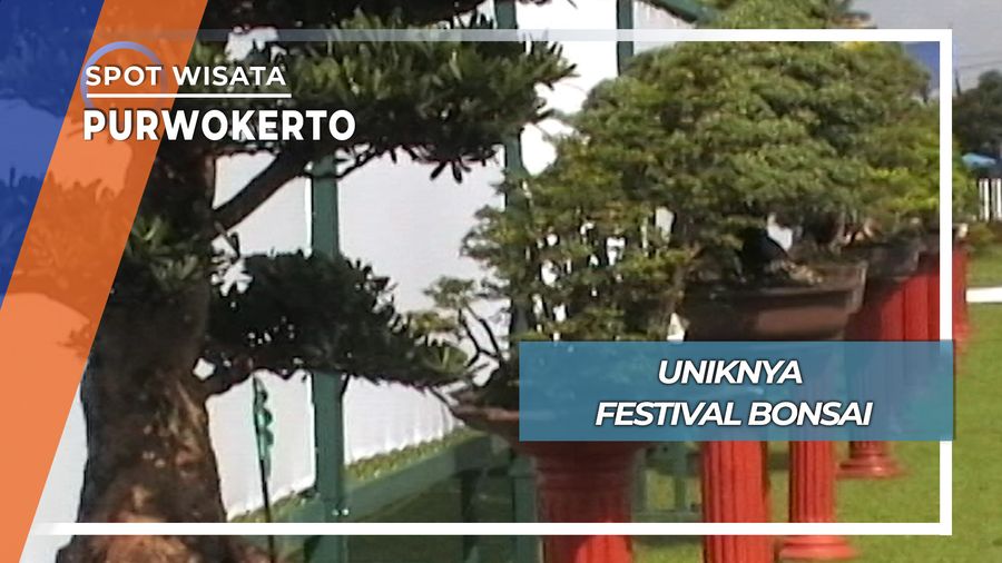 Meriahnya Festival Bonsai, Purwokerto