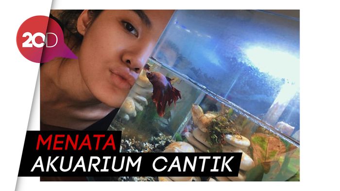 Hikmah Pandemi, Sheryl Sheinafia Jadi Jago Bikin Aquascape