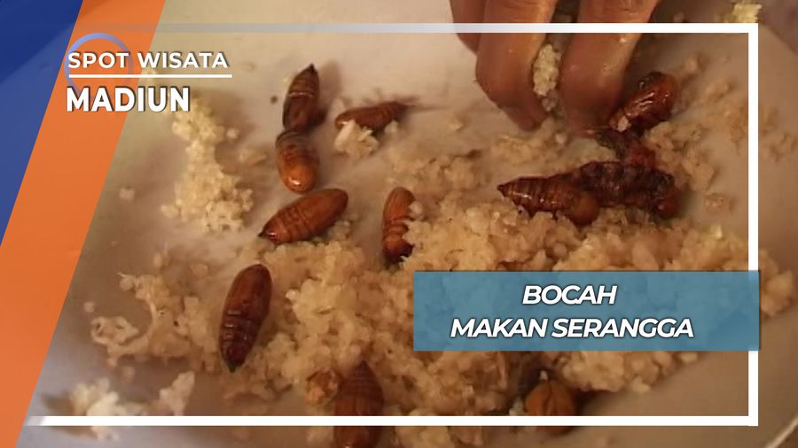 Bocah Pemakan Serangga, Madiun