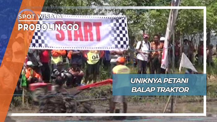 Lomba Unik Adu Cepat diatas Medan Berlumpur, Probolinggo