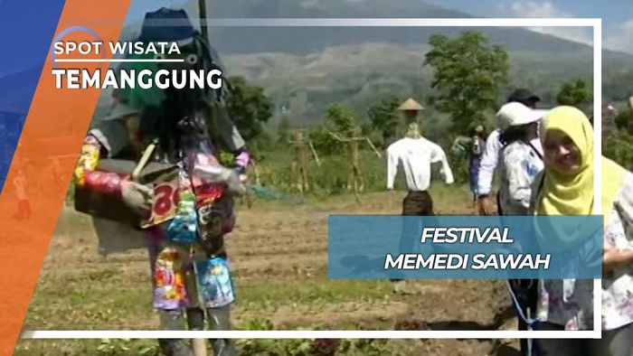 Festival Memedi Sawah, Temanggung