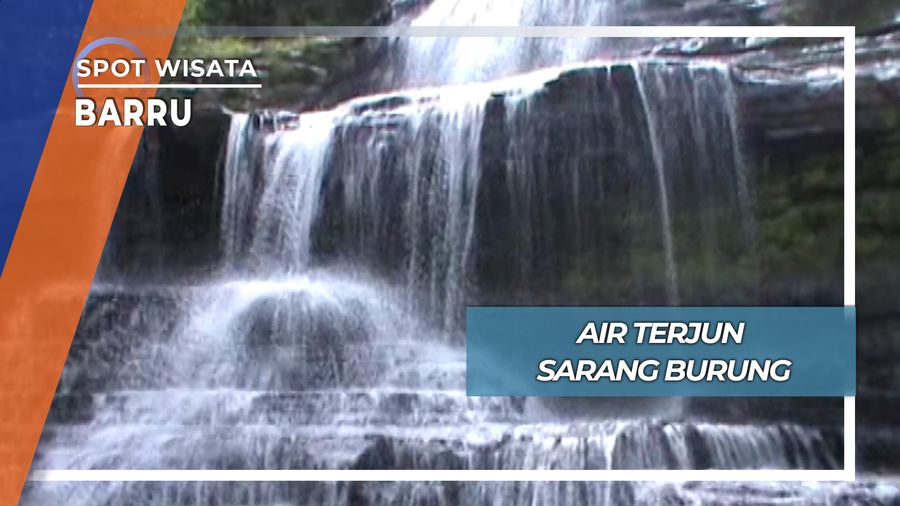 Jelajah Sarang Burung di Air Terjun Kembar Tiga Padang Lampe Barru