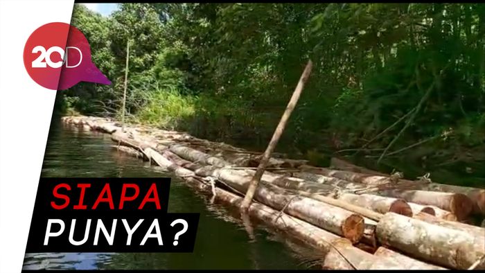 Kayu Diduga Hasil Illegal Logging Berserakan di Sungai Siak
