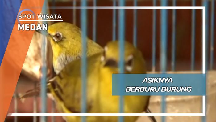 Asiknya Berburu Burung, Medan