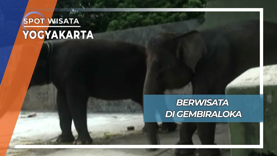 Mengenal Satwa Lebih Dekat, Yogyakarta