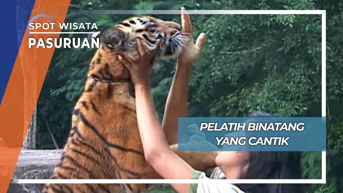Si Cantik Penakluk Binatang Buas, Pasuruan