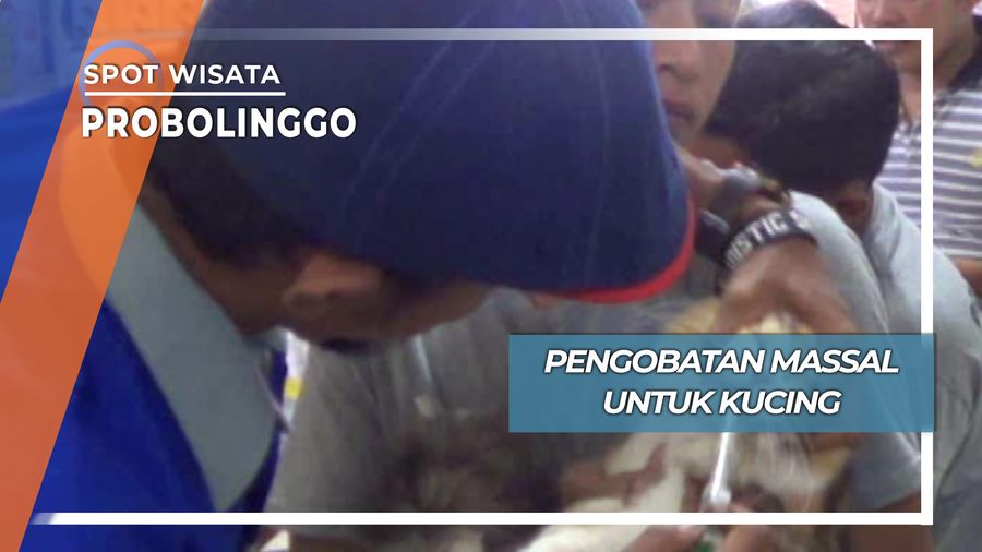 Pengobatan Massal untuk Kucing, Probolinggo
