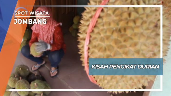 Kisah Pengikat Durian, Jombang