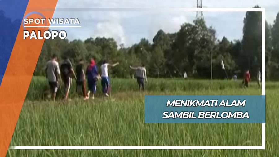 Menikmati Alam Sambil Berlomba, Palopo