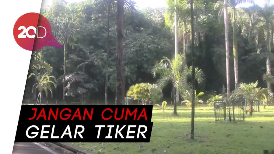 Kebun Raya Dibuka Bertahap, LIPI Ingin Wisatawan Naik Kelas