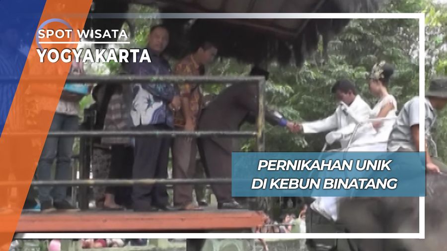 Pernikahan Unik di Kebun Binatang, Yogyakarta