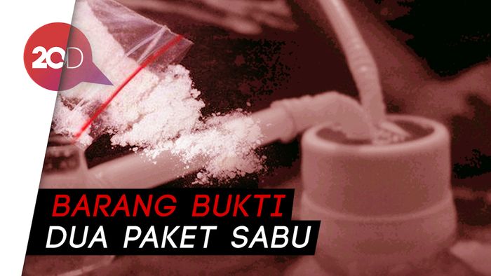 Penampakan Catherine Wilson saat Ditangkap karena Narkoba