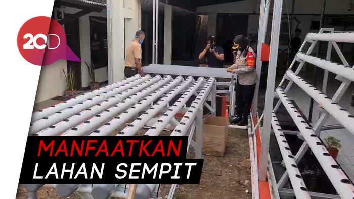 Mengintip Kebun Hidroponik Model Polresta Sukabumi
