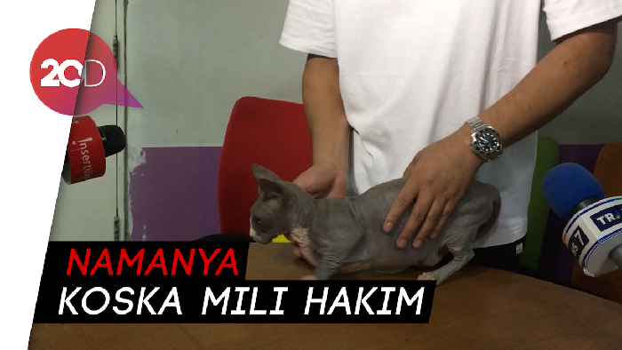 Kasih Nama Kucing, Irfan Hakim Terinspirasi dari Kaos Kaki