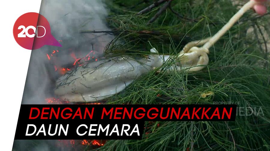 My Trip My Adventure: Uniknya Mancing dan Masak Cumi di Pulau Cina