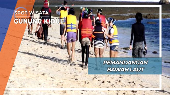 Menikmati Pemandangan Bawah Laut, Gunung Kidul